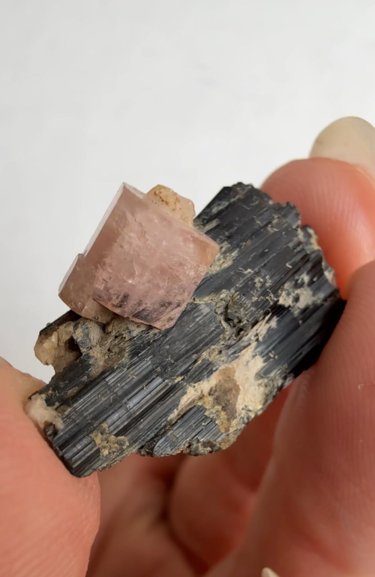 Pink Apatite on Black Tourmaline