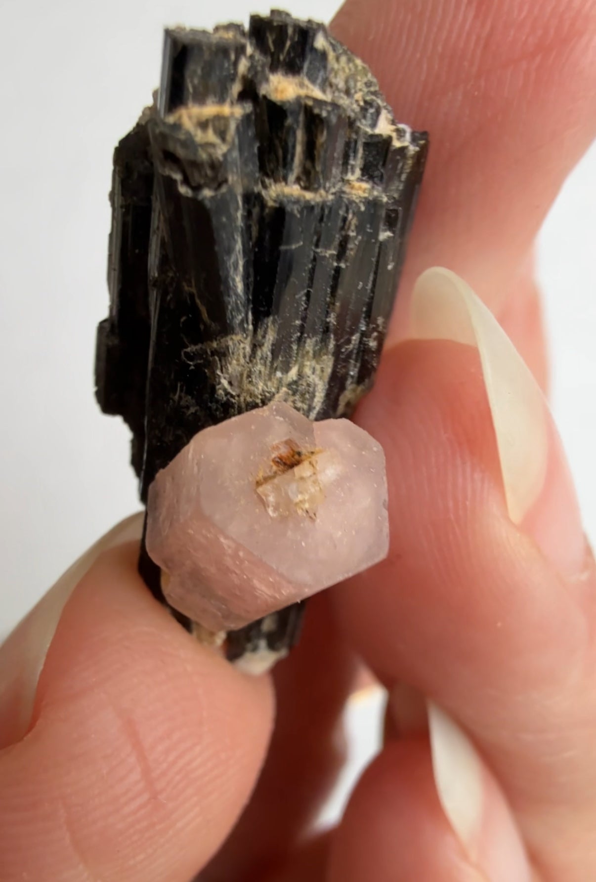 Pink Apatite on Black Tourmaline