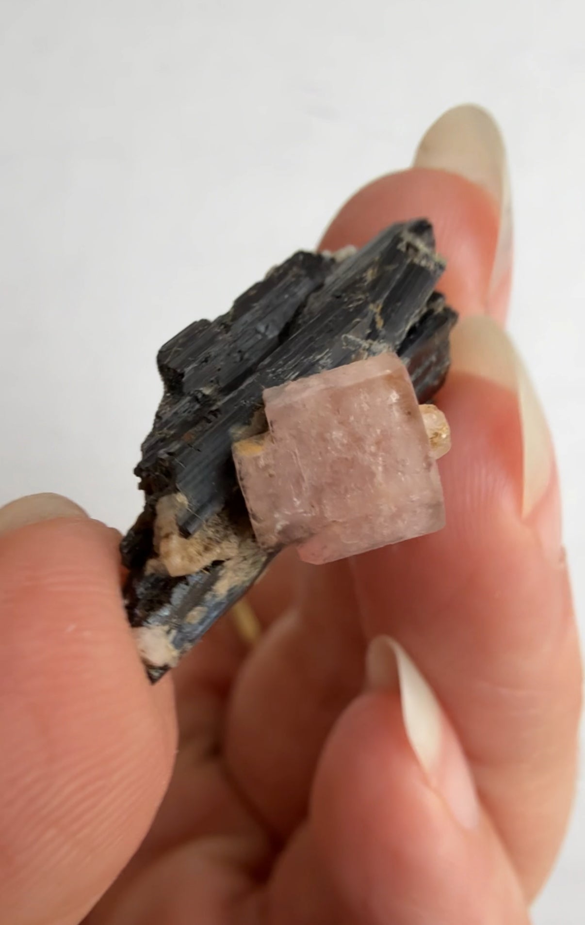 Pink Apatite on Black Tourmaline